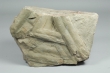 Bilobites - Cruziana goldfussi (Rouault, 1850) - MIN.003094 -  Dimenses 30x22x20 cm