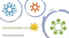 Biodiversidade no Verão