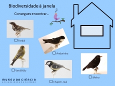 Atividade 2. Biodiversidade à janela