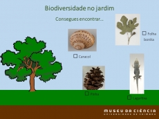 Atividade 3. Biodiversidade no jardim