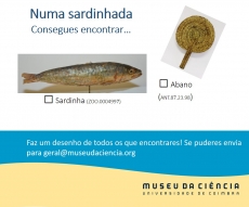 Atividade 10. Biodiversidade numa sardinhada