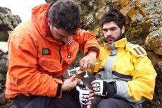 Ciência Polar e Educação